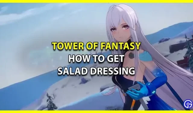 Tower of Fantasy: saladedressing maken