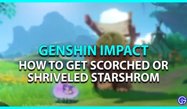 Genshin Impact: Cómo quemarse o arrugarse Starshroom