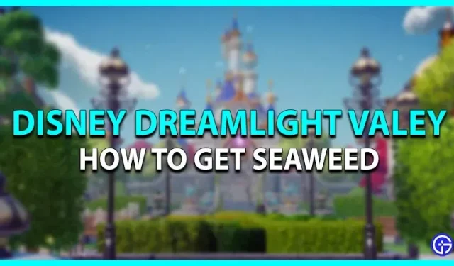 Disney Dreamlight Valley: como obter algas marinhas (locais)