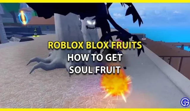 Blox Fruits Soul Fruit: Wie bekommt man es – lohnt es sich?