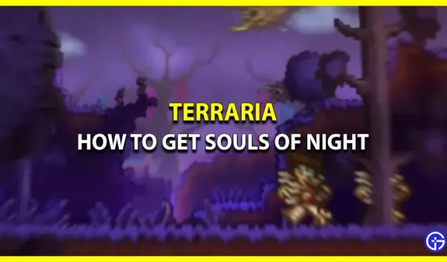 Jak zdobyć Duszę Nocy w Terrarii