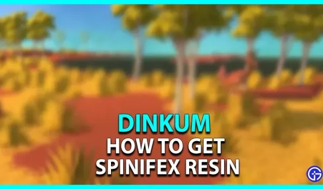 Dinkum: como obter a resina Spinifex