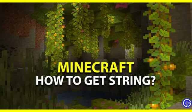 Minecraft: como obter uma string