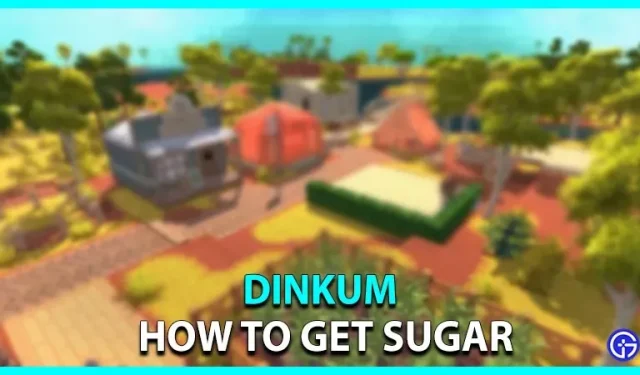 如何在 Dinkum 中獲取糖