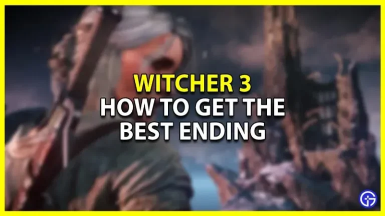 The Witcher 3: How to get the best ending (option list)