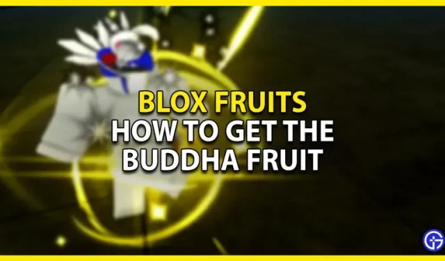 Roblox Blox Fruits: cómo conseguir la fruta de Buda