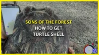 How to get and use tortoise shell in Sons Of The Forest