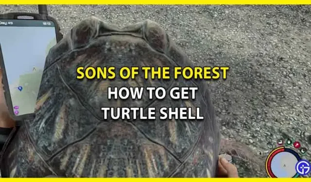 How to get and use tortoise shell in Sons Of The Forest