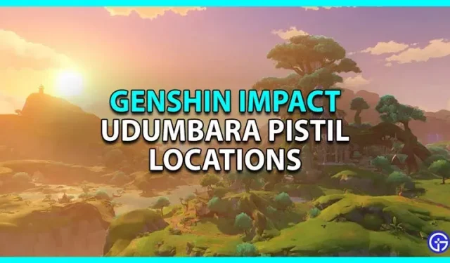 Kaip gauti Udumbara Pestle Genshin Impact (vietose)