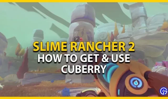 Hur man får Cuberry i Slime Rancher 2