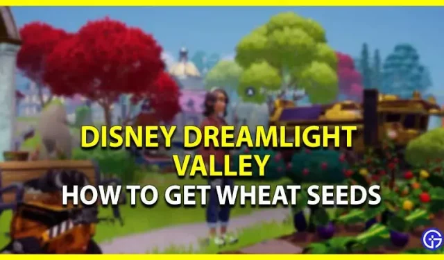 Disney Dreamlight Valley: tarwezaden krijgen