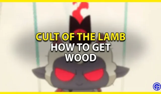 De cultus van het lam: hoe gemakkelijk aan hout te komen
