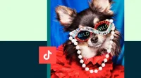 How to Go Viral on TikTok: 11 Best Tips (And Why They Work)