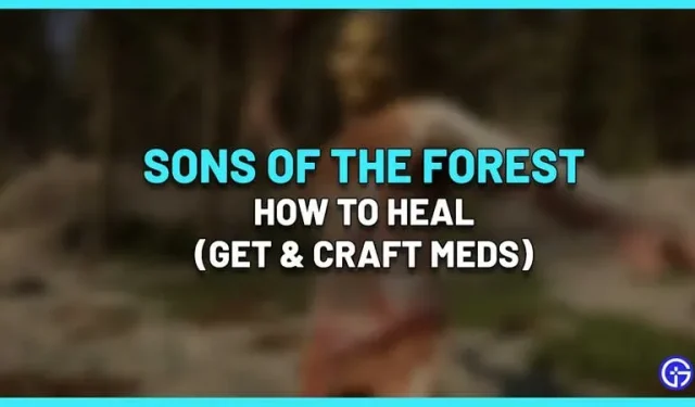 Hur man läker i Sons Of The Forest | Terapeutisk blandning, Medicintillverkning