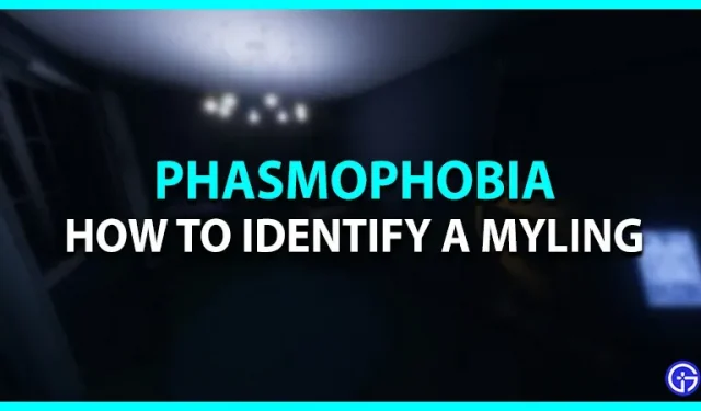 Phasmophobie: So erkennen Sie Mailings