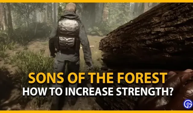 Sons Of The Forest Badge of Power: hoe je de lat snel kunt verhogen en naar een hoger niveau kunt tillen