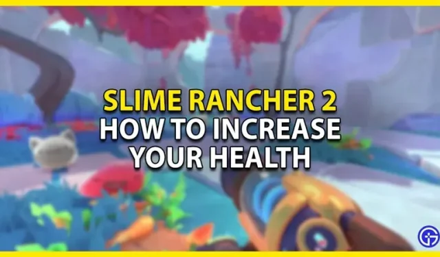 Slime Rancher 2: Hoe de gezondheid te verbeteren