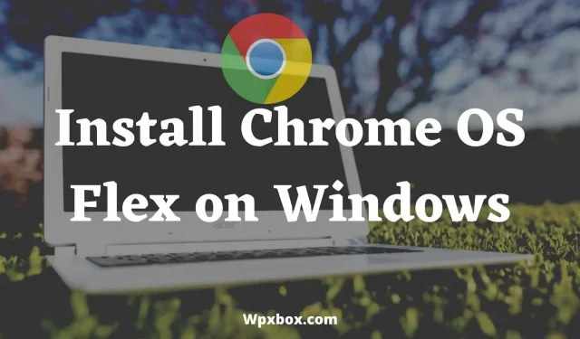 How to install Chrome OS Flex on Windows