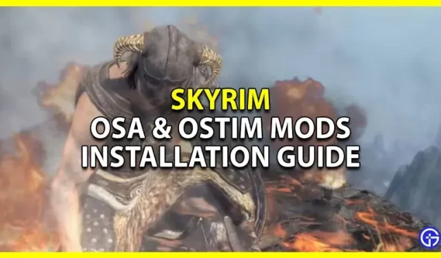 Skyrim: Installationsguide för OSA och OStim NG Mod
