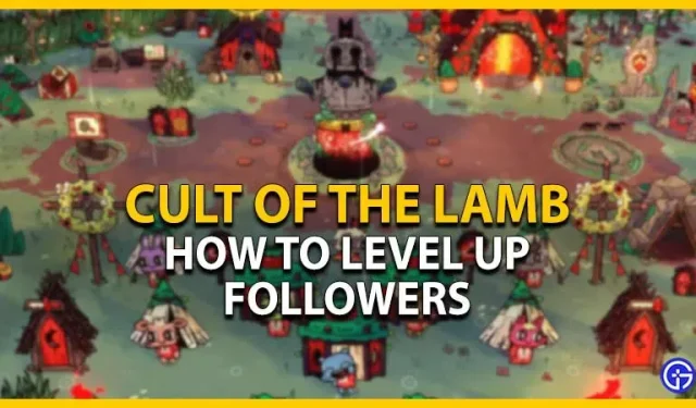Kult des Lammes: So erhöhen Sie die Stufe Ihrer Anhänger