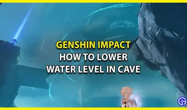 Genshin Impact：如何降低洞穴中的水位（須彌更新）