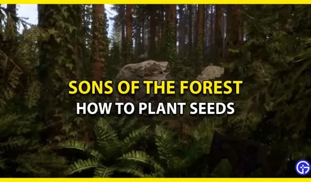 Kaip sodinti ir auginti sėklas „Sons Of the Forest“.