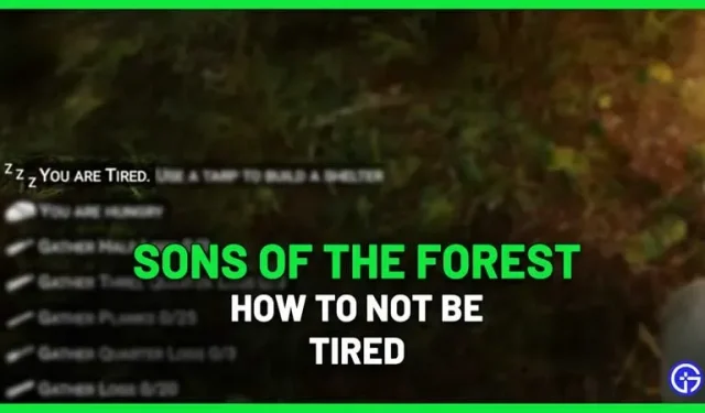 Comment ne pas se fatiguer dans Sons of The Forest (sommeil, repos et plus)