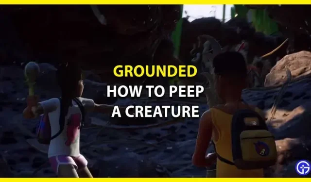 Grounded : comment espionner une créature
