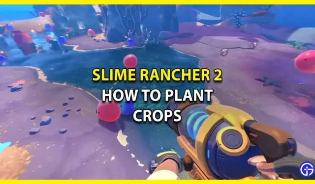Slime Rancher 2 Colture vegetali: come ottenere un giardino (Guida alla semina)
