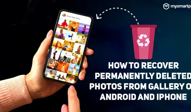 Récupérer des photos supprimées : comment récupérer des photos supprimées définitivement de la galerie sur Android Mobile et iPhone