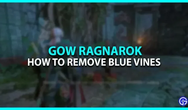 God Of War Ragnarok: cómo quitar las enredaderas azules (ramas espinosas)
