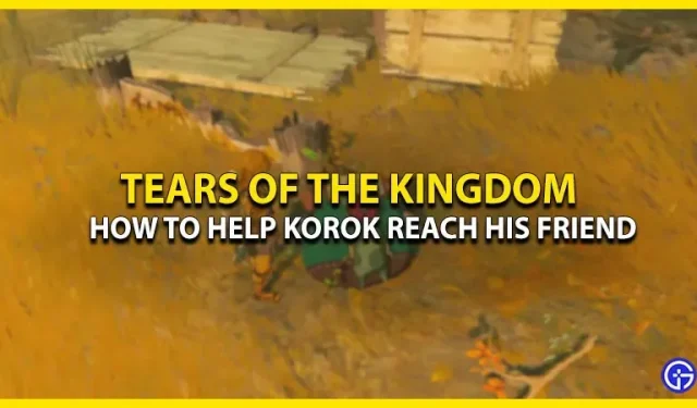 Wie man die Freunde von Korok in Tears Of The Kingdom wieder zusammenbringt (Quest Guide)