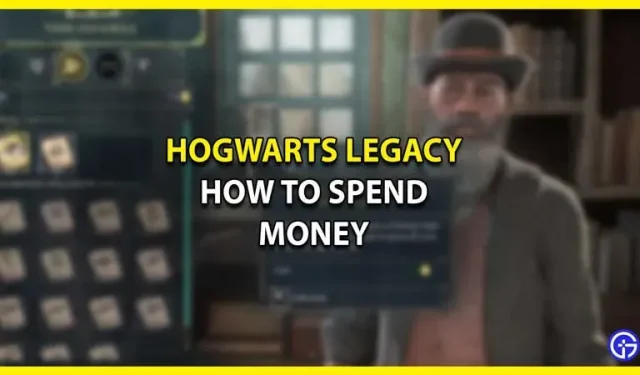 Wie man in Hogwarts Legacy Geld ausgibt