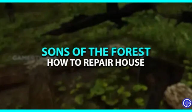Hoe een tijdschrift te breken in Sons Of The Forest