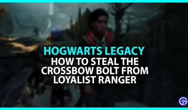 Wie kann man in Hogwarts Legacy einem treuen Waldläufer einen Armbrustbolzen stehlen?