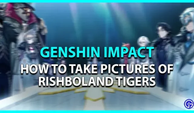 Kuidas pildistada Rishbolandi tiigreid filmis Genshin Impact
