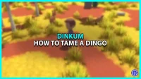 Dinkum: how to tame a dingo