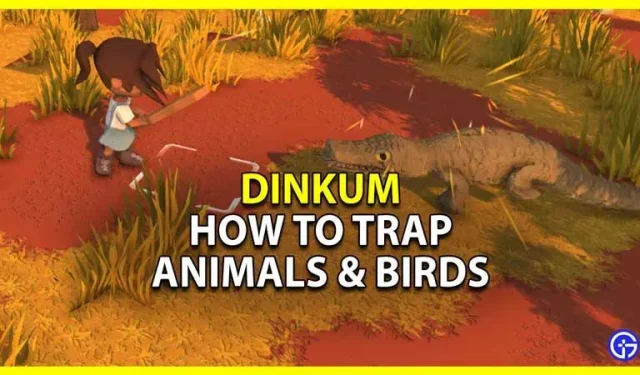 ディンクム: 動物や鳥を捕まえる方法