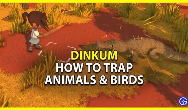 Dinkum: cómo atrapar animales y pájaros