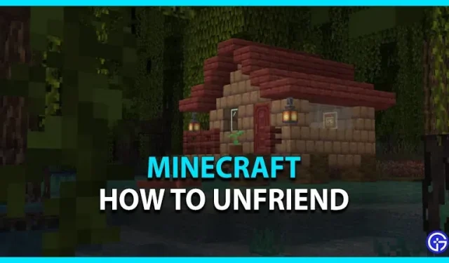 Minecraft: how to remove other players from friends