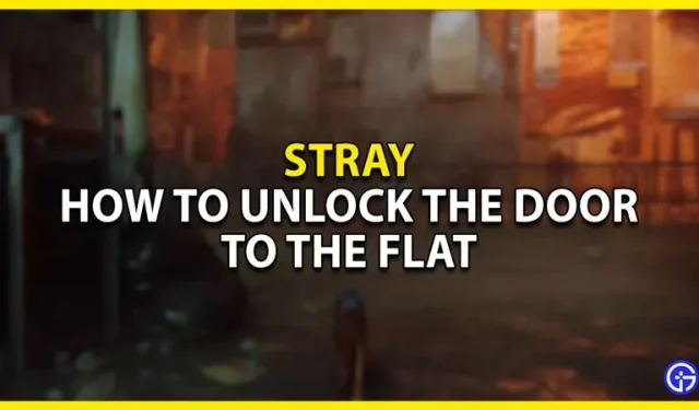 Stray Luku 3: Kuinka avata asunnon ovi