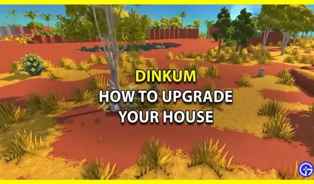 Dinkum: 집을 업그레이드하는 방법