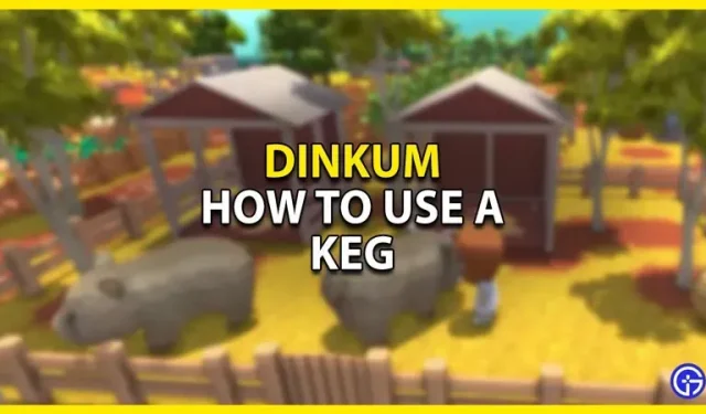 Dinkum : comment utiliser le fût
