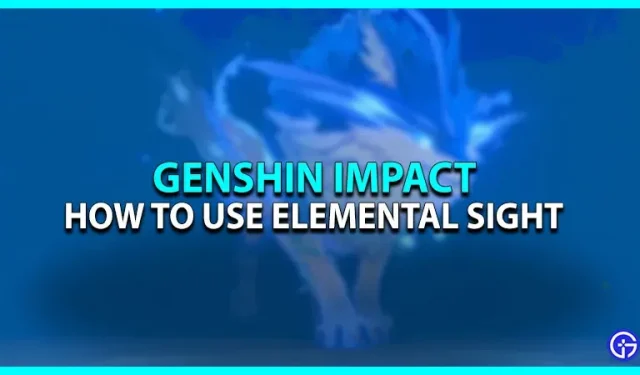 Genshin Impact Elemental Sight: So verwenden Sie es (PC, PlayStation und Mobil)