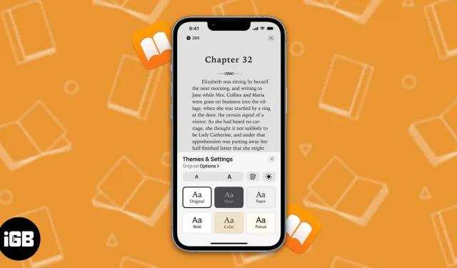 Comment personnaliser les thèmes lors de la lecture de livres sur iPad et iPhone