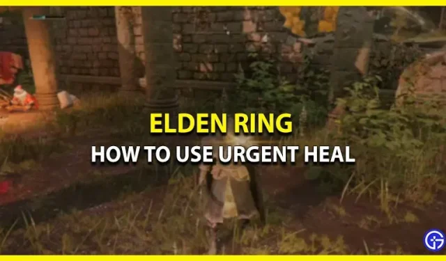 Hoe noodgenezing te gebruiken in Elden Ring