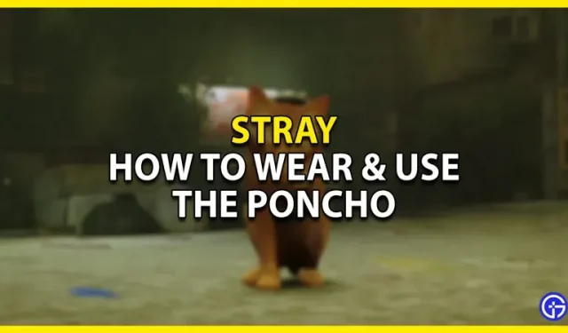 Stray: Kannst du einen Poncho tragen?