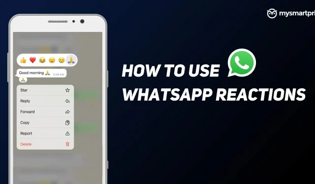 Réactions WhatsApp : comment utiliser les réactions WhatsApp sur Android, iOS et WhatsApp Web