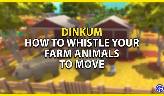 Dinkum : comment siffler les animaux de compagnie