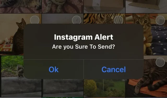 IGTidyMediaSend 通過強制用戶確認來防止 Instagram 意外上傳媒體文件